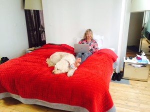 loft studio bed