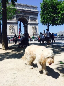 Walking down Champs Elysee from the arch thing