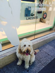 Lacoste - my Dad has some of their polo shirts but Mum doesn't let him put the collar up