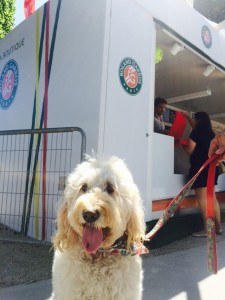 The Roland Garros stand