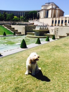 At the Trocadero - wish I could have jumped into the pools there but apparently not allowed :-(