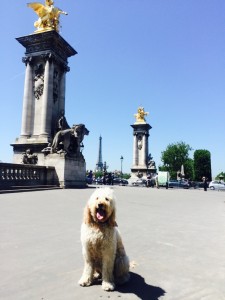 Near bridge over the Seine river - look at that tower - it pokes out everywhere