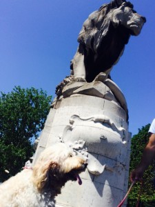 See that lion! Scary things on the top of these pillars