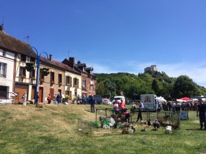 Lambs and goats on show for kids