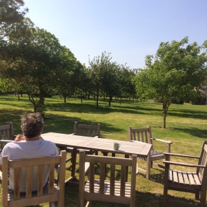 Dad looking out at my garden