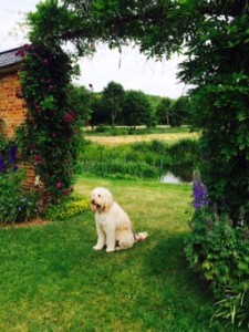 Entrance to the vegetable garden