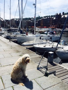 me at the marina in Honfleur