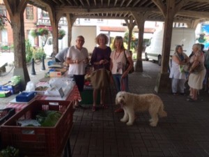 Buying some supplies with Lynn and Alan (who visited us later on)